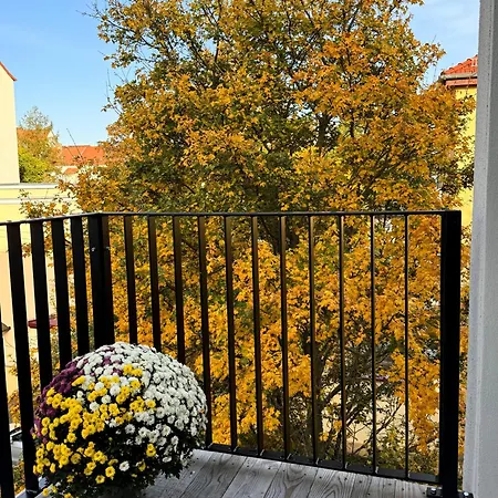 Carl Von Rose Apartment Weimar (Thuringia)