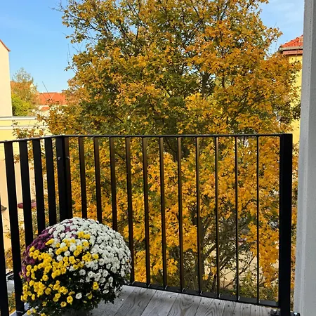 Carl Von Rosé Weimar (Thuringia)