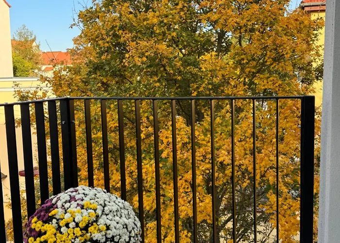 Carl Von Rosé Weimar